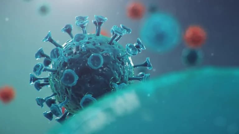 Can rsv cause sinus infection in adults?