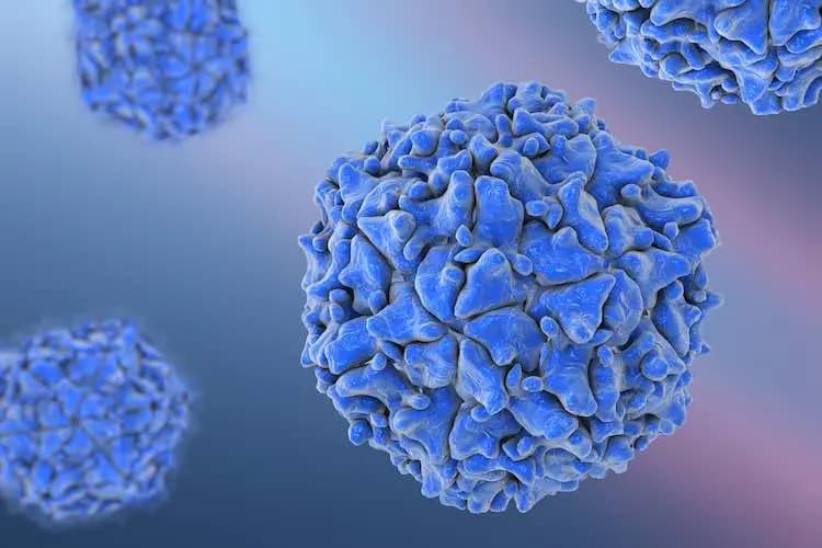 polio virus images