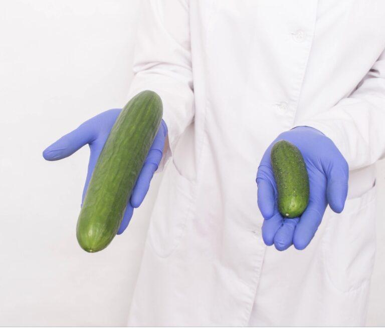 Penis size and shapes