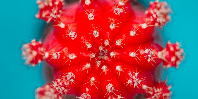 Herpes Simplex Virus treatment