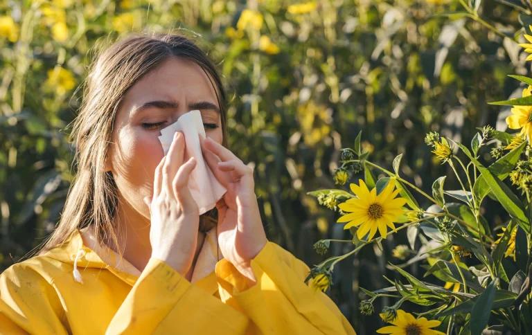 What is Hay Fever?