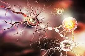 Illustration of neurons with synaptic connections, depicting the neurological damage associated with ALS (Amyotrophic Lateral Sclerosis).