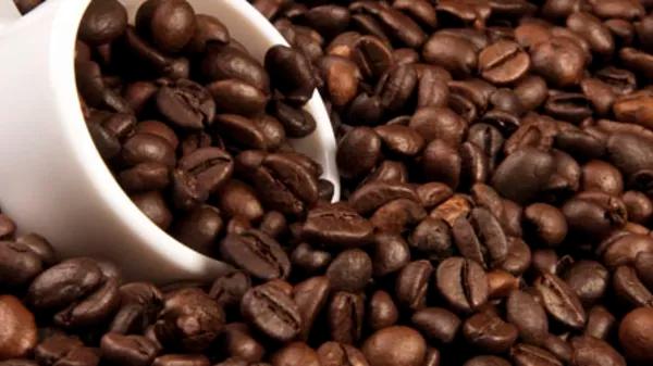 Coffee Beans analysis to see if its linked to cuasing pooping